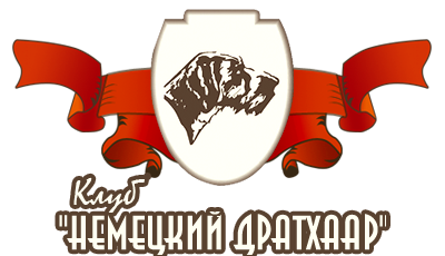 Национальный клуб породы "Немецкий Дратхаар"